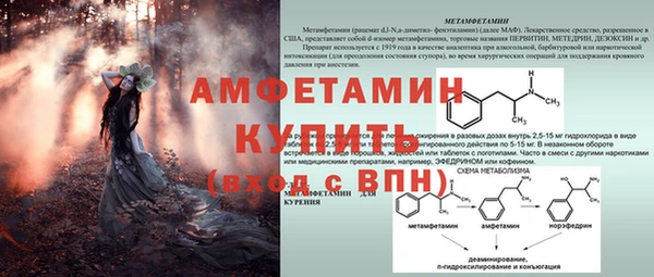 спайс Баксан