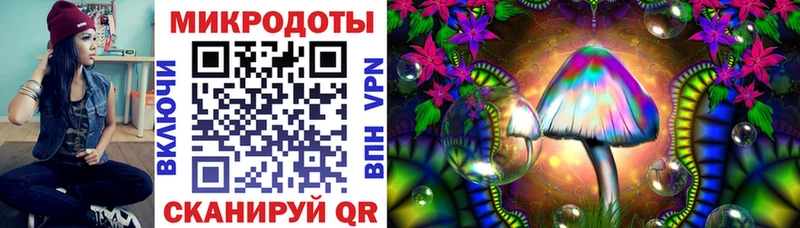 Псилоцибиновые грибы Psilocybe  Полтавская 
